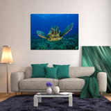 Sea Turtle Love Canvas Set