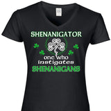 Shenanigator One Who Instigates Shehnanigans