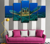 Sea Turtle Love Canvas Set