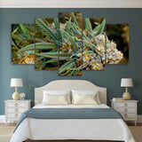 Buds Weed Canvas Set