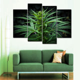 Weed Bud Canvas Set