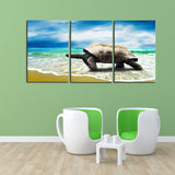 Sea Turtle Walk Canvas Set