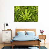 Green Pile High Canvas Set