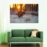 Buck At Dawn Canvas Set