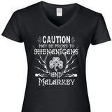 Caution May Be Prone To Shenanigans And Malarkey