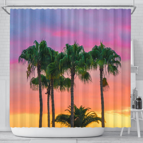 Palm Tree Sunset