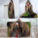 Gelada Baboon