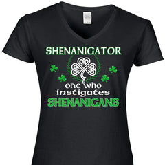 Shenanigator One Who Instigates Shehnanigans