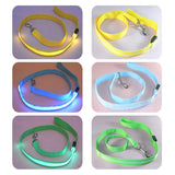 Lighted Dog Leash