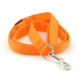 Lighted Dog Leash