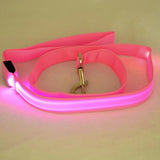 Lighted Dog Leash