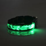 Camouflage Lighted Dog Collar