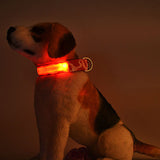 Camouflage Lighted Dog Collar