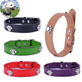 Paw Studded Leather Dog Collar