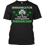 Shenanigator One Who Instigates Shehnanigans